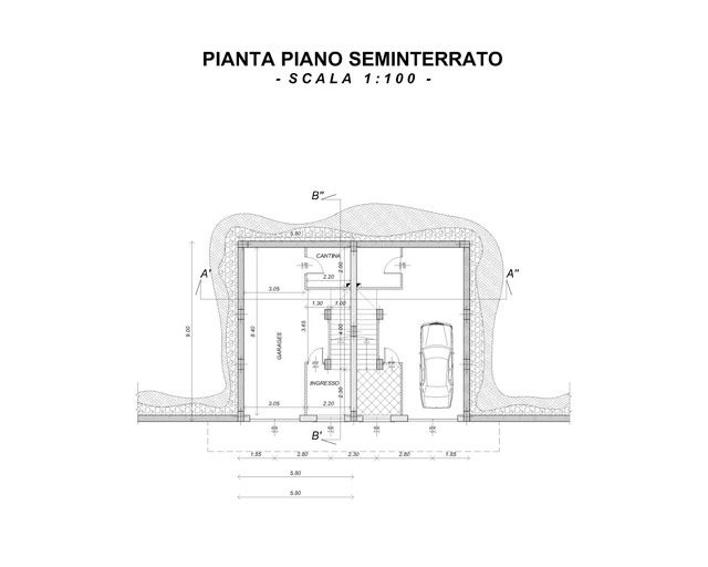 Pianta 1